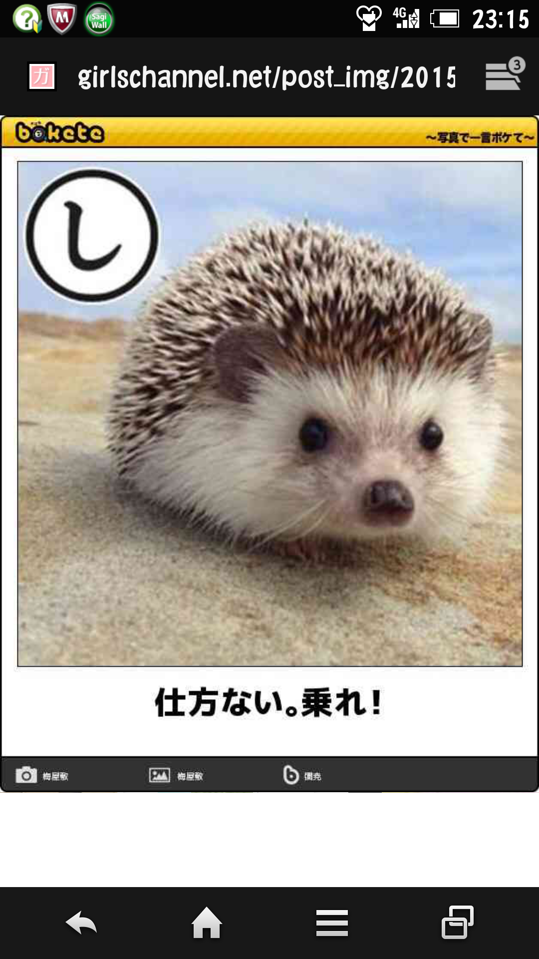 動物のボケて貼って下さい
