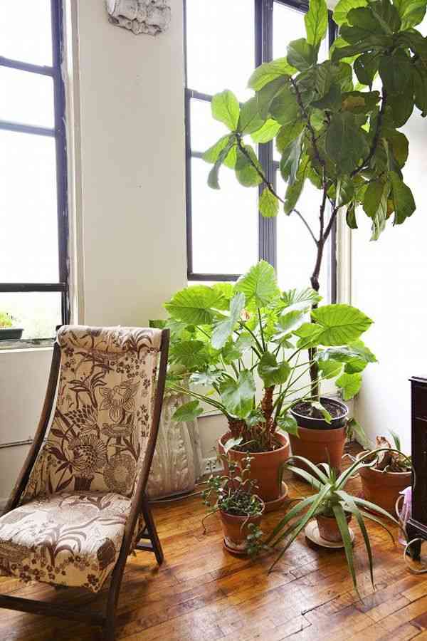 観葉植物やお花に癒されてる人