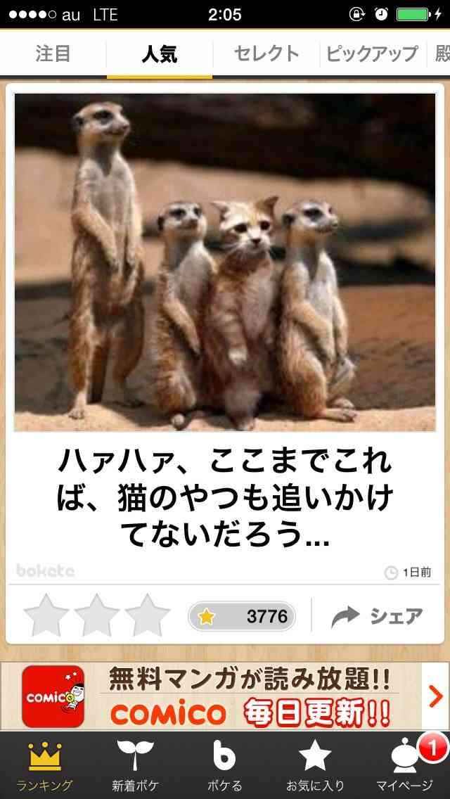 動物のボケて貼って下さい