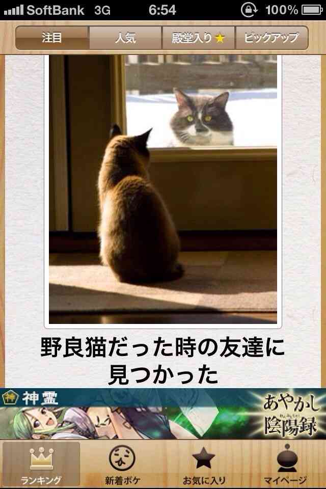 動物のボケて貼って下さい