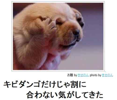 動物のボケて貼って下さい