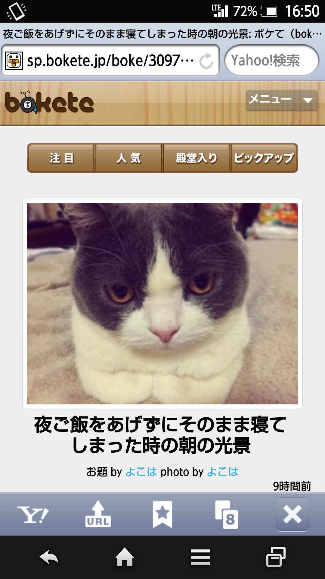 動物のボケて貼って下さい