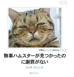 動物のボケて貼って下さい