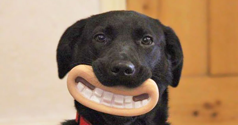 ちょっとだけ面白い画像やコピペが集まるトピ