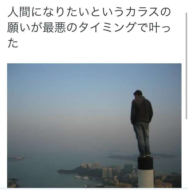 動物のボケて貼って下さい