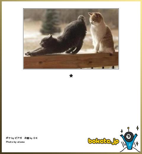 動物のボケて貼って下さい