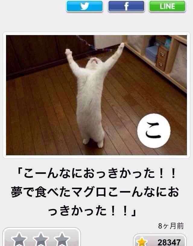 動物のボケて貼って下さい