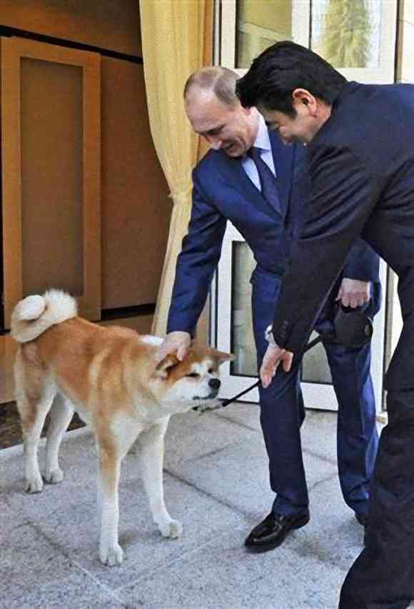  【画像】プーチン大統領、「子供の日」式典で子供を撫でたら子供が号泣