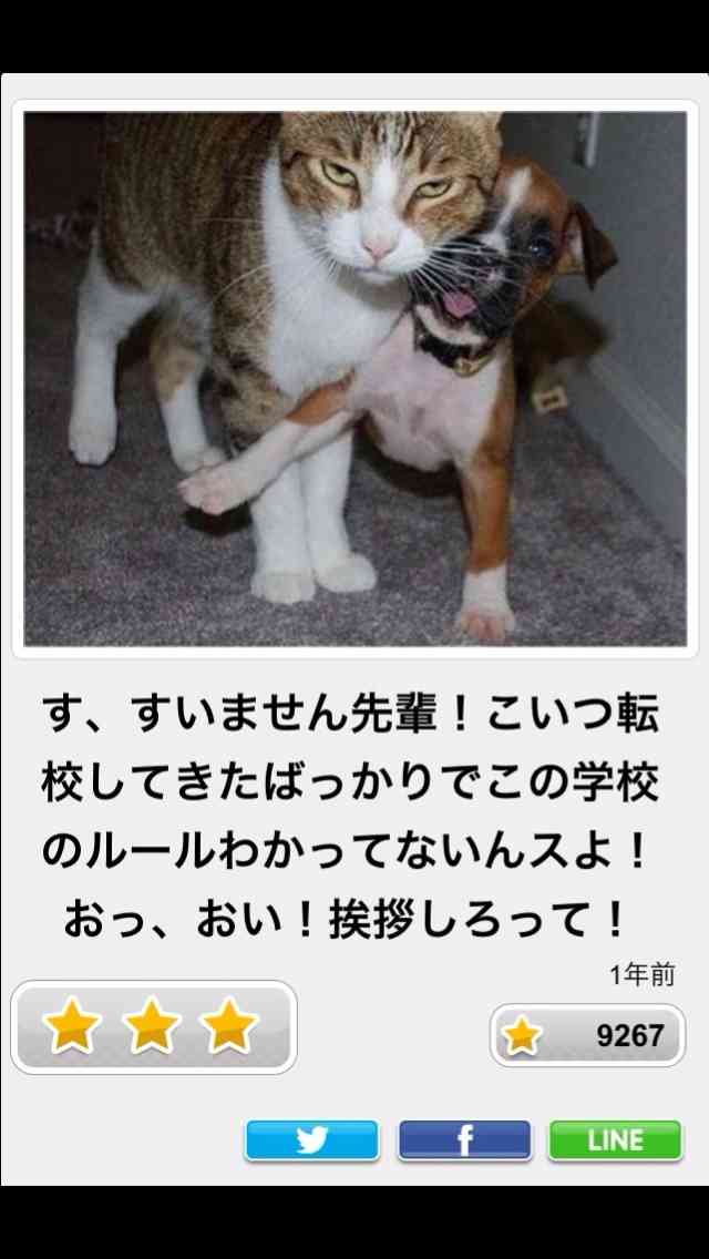 動物のボケて貼って下さい