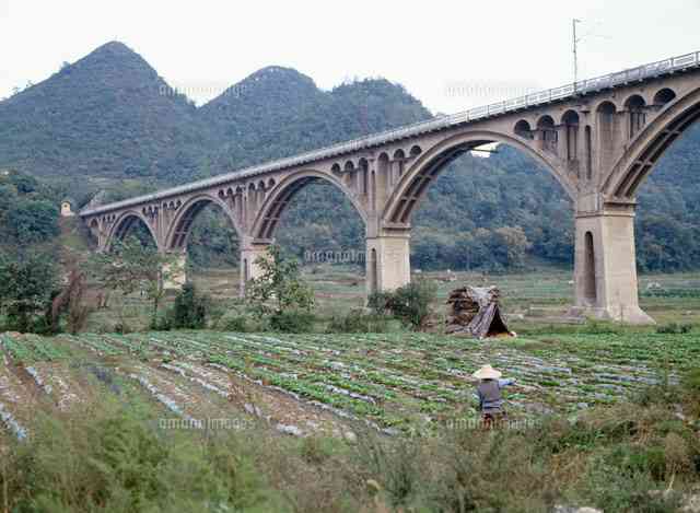 素敵な橋の画像