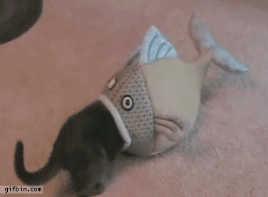 【画像】はまりまくる動物たち