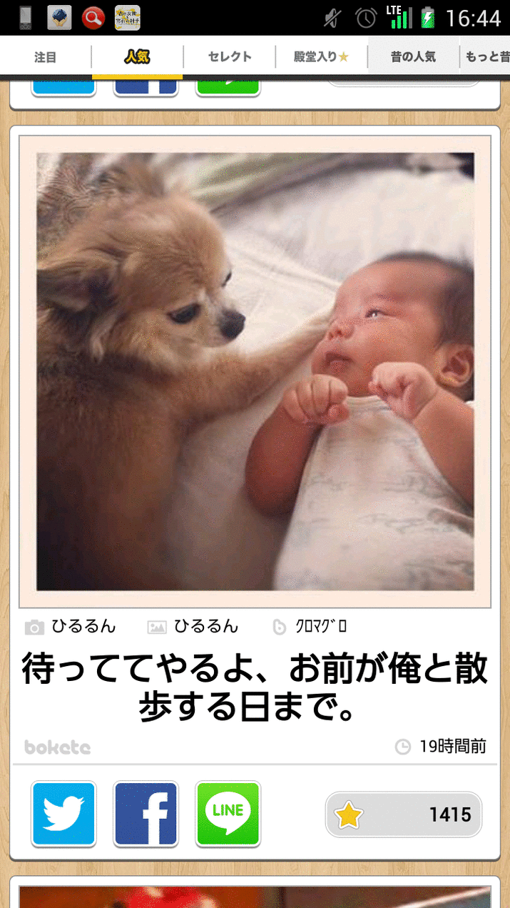 動物のボケて貼って下さい