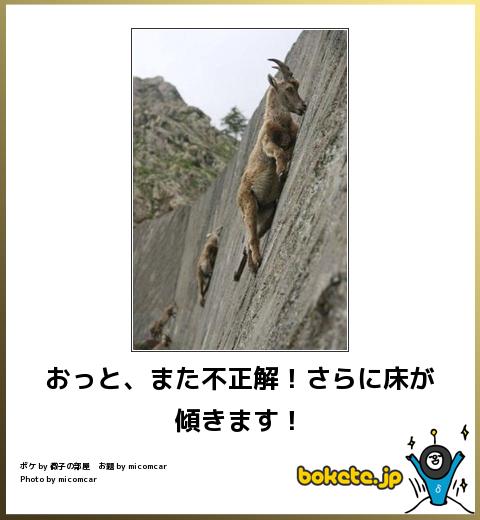 動物のボケて貼って下さい