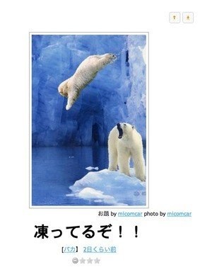 動物のボケて貼って下さい