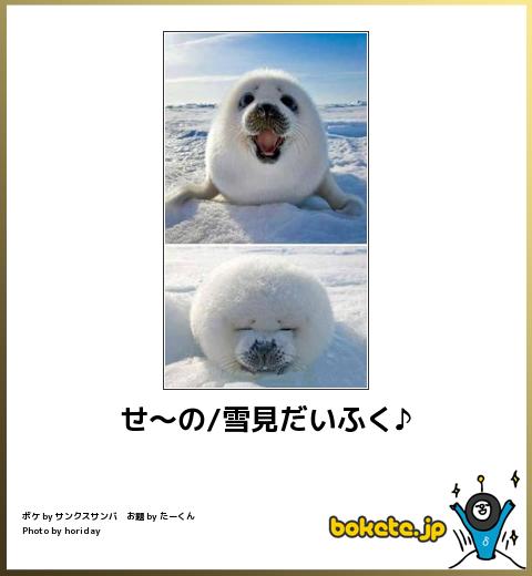 動物のボケて貼って下さい
