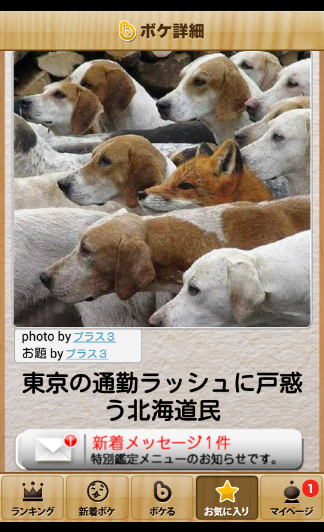 動物のボケて貼って下さい