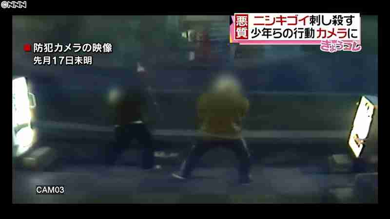ニシキゴイ刺し殺す…少年らの行動カメラに(日本テレビ系（NNN）) - Yahoo!ニュース