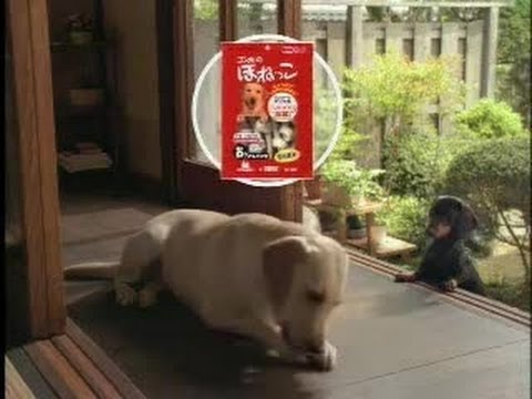 今日一番の贅沢
