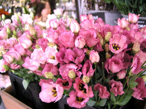 今日一番の贅沢