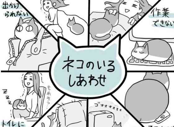 猫を飼いたい人必見！「ねこのいる幸せ」の人気ツイートがたまらなく癒される！ | mofmo