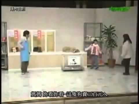 陣内智則 ペットショップ - YouTube