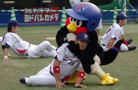 球団マスコットと選手がじゃれてる画像下さい！