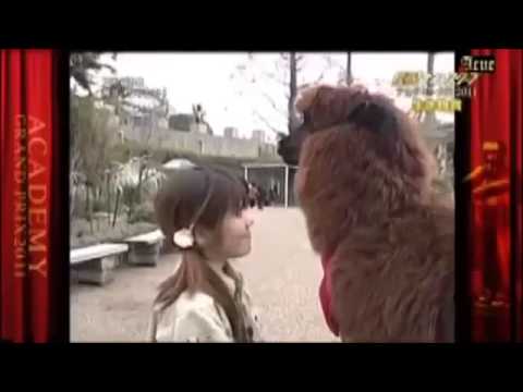 【探偵！ナイトスクープ】顔に唾を吐かれてもアルパカと仲良く - YouTube