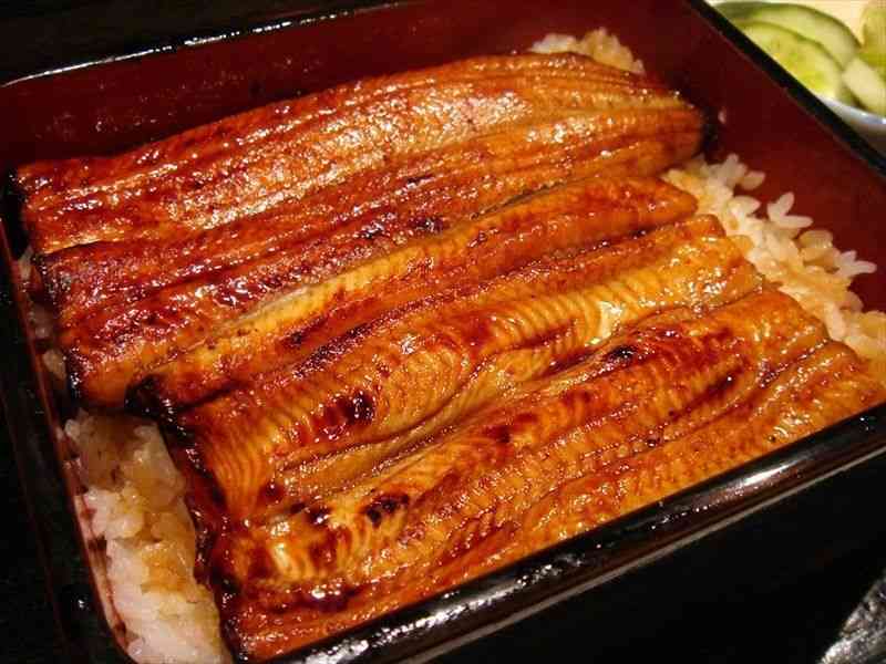 今日は土用の丑！鰻食べますか？