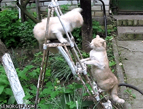 世の中にあふれる面倒くさそうなこと