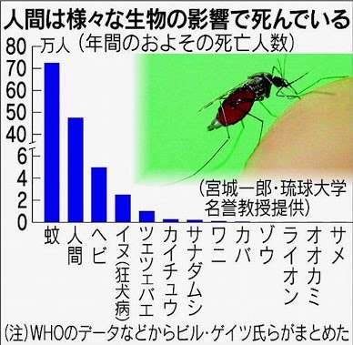 日本は世界有数の「蚊大国」個人でもできる対策とは?