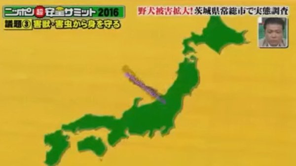 四国がオーストラリアの形、九州はアフリカ　奇妙な日本地図を放送したフジテレビが謝罪