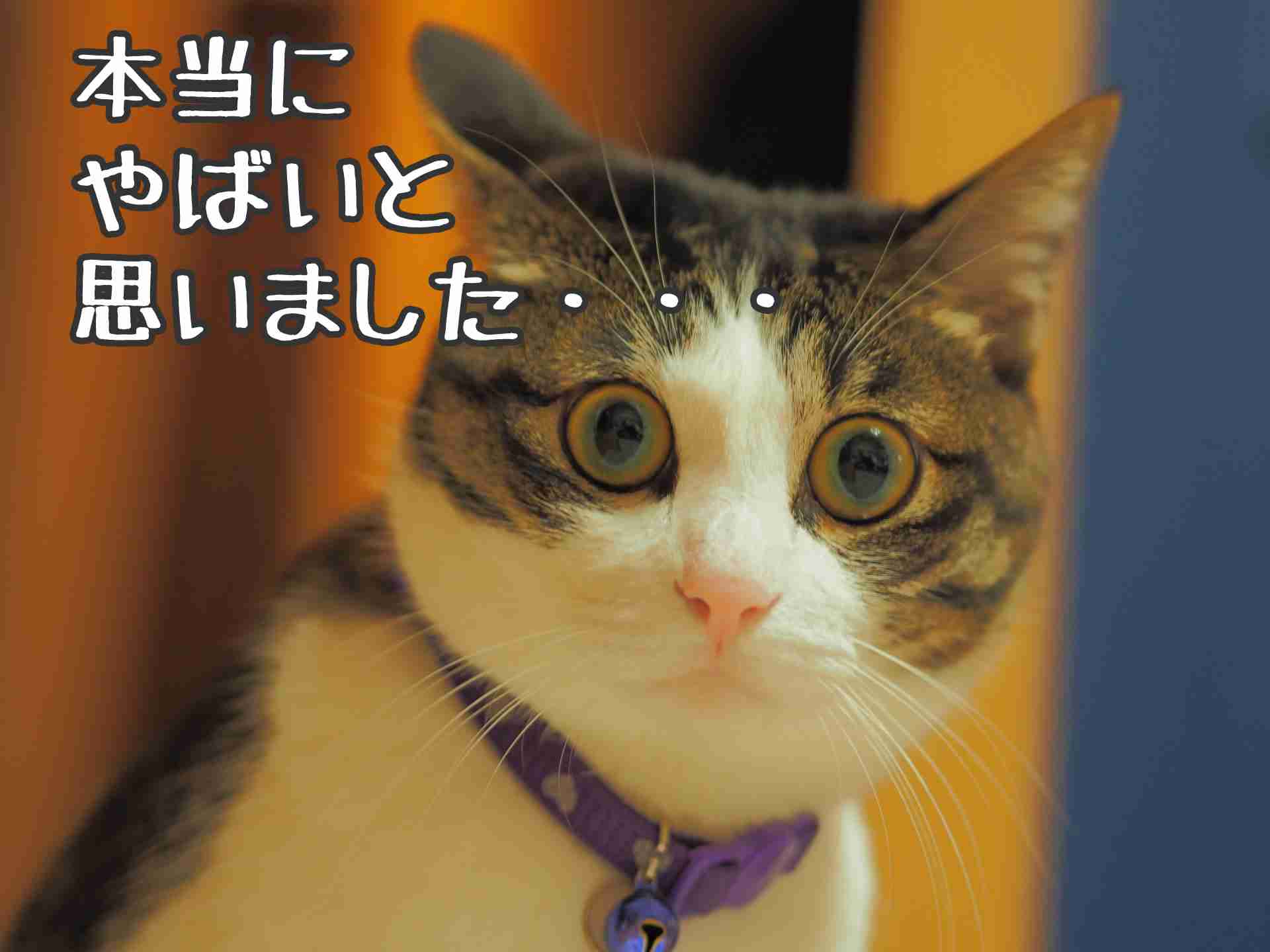【アラサー以上】貯金もなければ彼氏もいない人