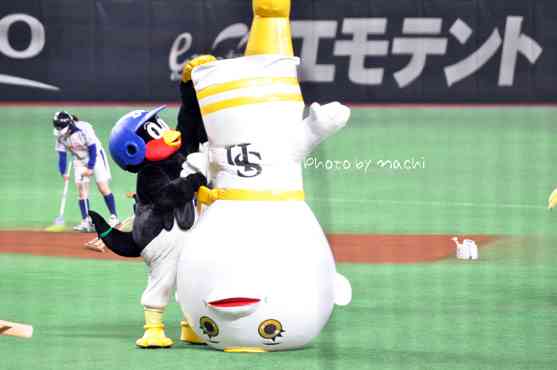 球団マスコットと選手がじゃれてる画像下さい！