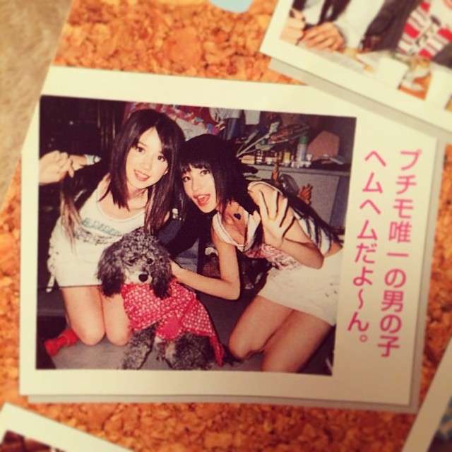 小島よしお、妻とのツーショット写真を公開