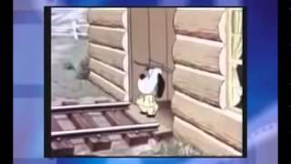 『トムとジェリー』あるある
