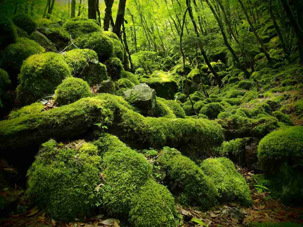 予想通り大コケしたもの