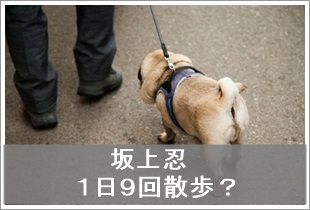 坂上忍がある町内会の驚きのルールに激怒「犬の散歩は脇に抱えて行う」