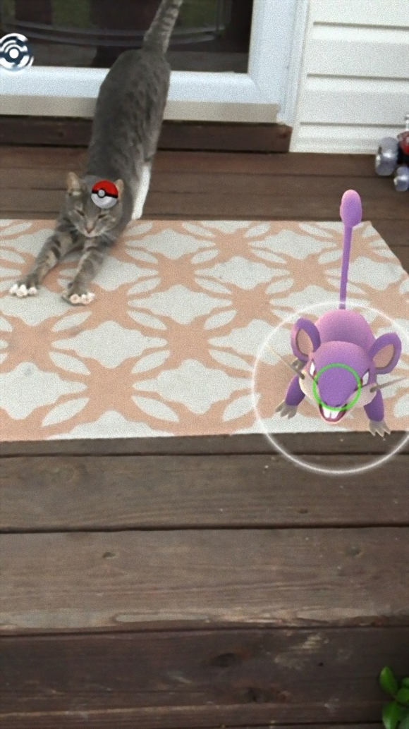 『ポケモンGO』をプレイしてる方専用トピ