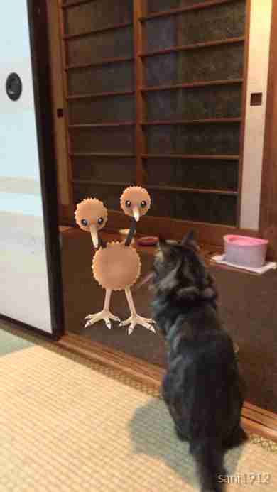 『ポケモンGO』をプレイしてる方専用トピ