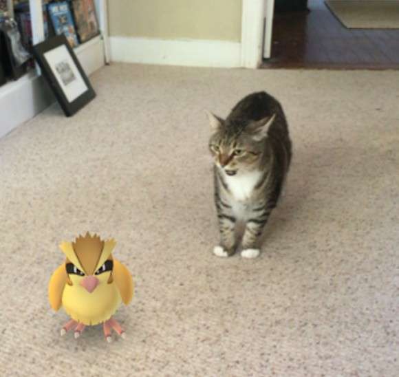 『ポケモンGO』をプレイしてる方専用トピ