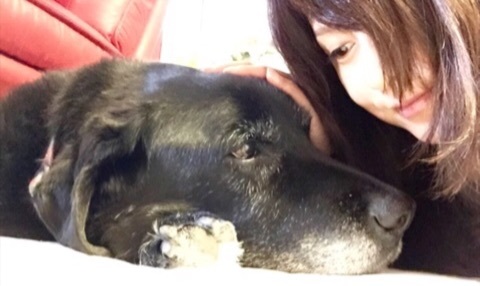 藤原紀香、愛犬の死に涙「一生、一生、忘れません」