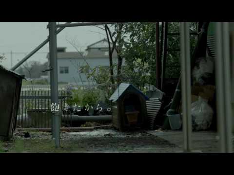 ２０１６年度ＡＣジャパン全国キャンペーン『死因』/#動物殺処分 - YouTube