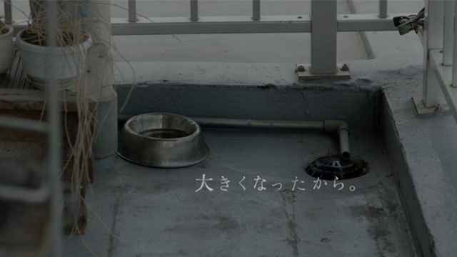 ACジャパンのCMに動物殺処分を考えさせられる「命を飼う覚悟、ありますか。」
