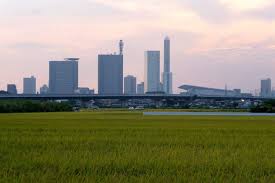 46道府県出身の方、東京に行って驚いたことは何ですか?