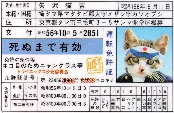 和む画像を集めるトピ