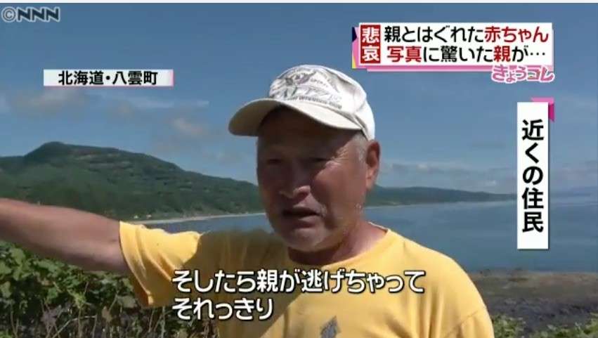 スマホ撮影に驚いた母が逃げ、トドの赤ちゃん死んだ (北海道)