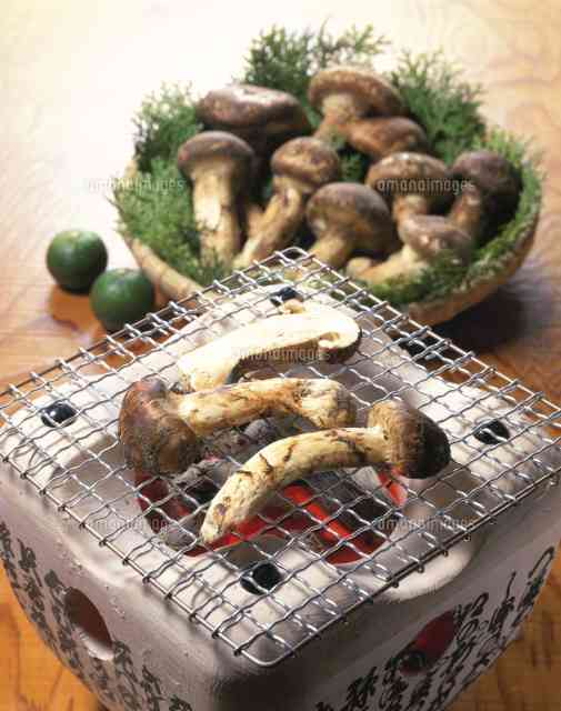 一番好きな日本食は何ですか?