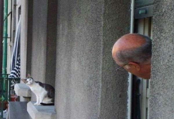 和む画像を集めるトピ