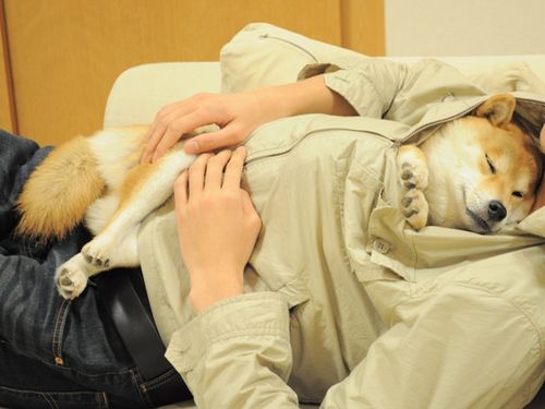 愛情たっぷりの画像待って〼