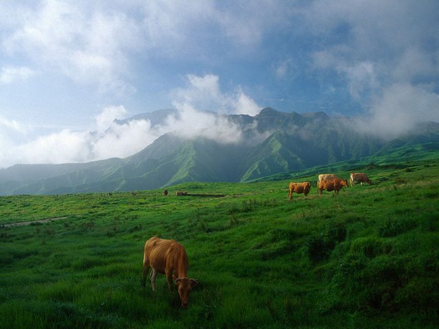 日本とは思えない風景を貼るトピ